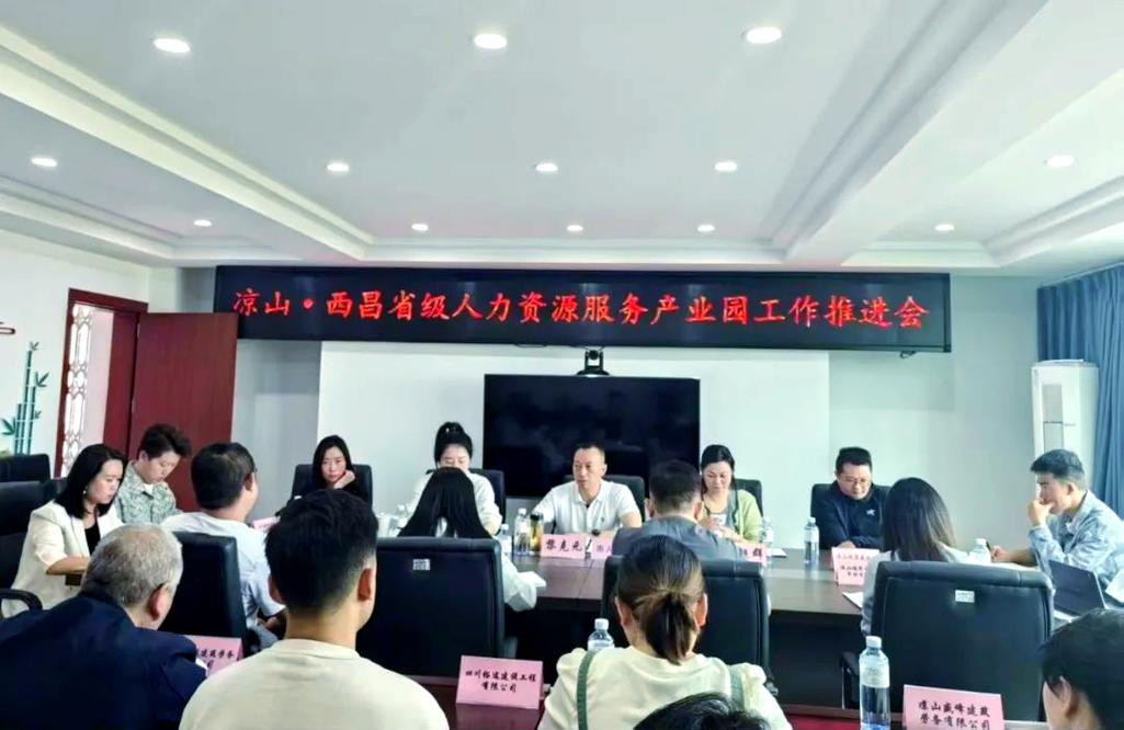 凉山州人力资源服务园的数字化升级与未来规划