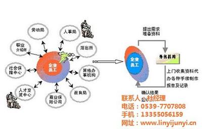 专业人力资源服务_兰山人力资源服务_临沂君益人力资源